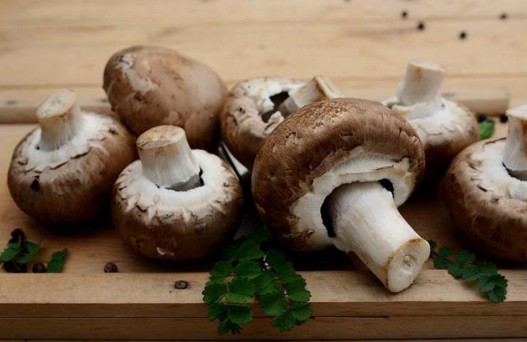 funghi e prevenzione