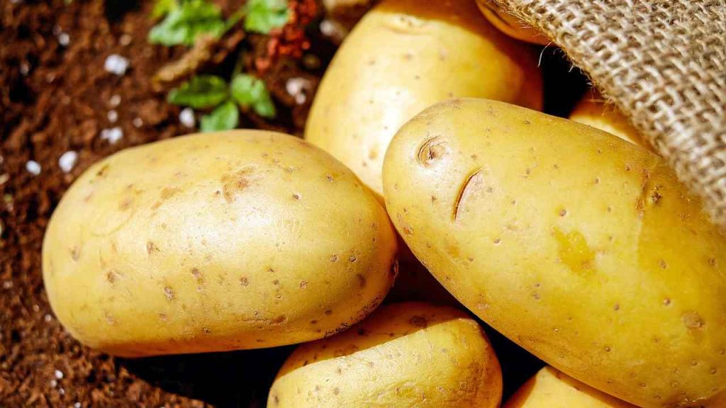 Amante delle patate, questa ricetta è solo per te: se le cucini così i tuoi ospiti ti ringrazieranno