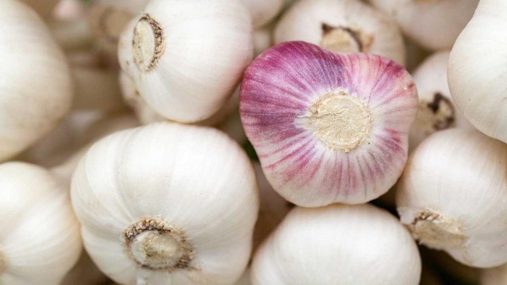 Aglio, con questo ingredienti puoi purificare la casa: l’antico rimedio di mia nonna Margherita